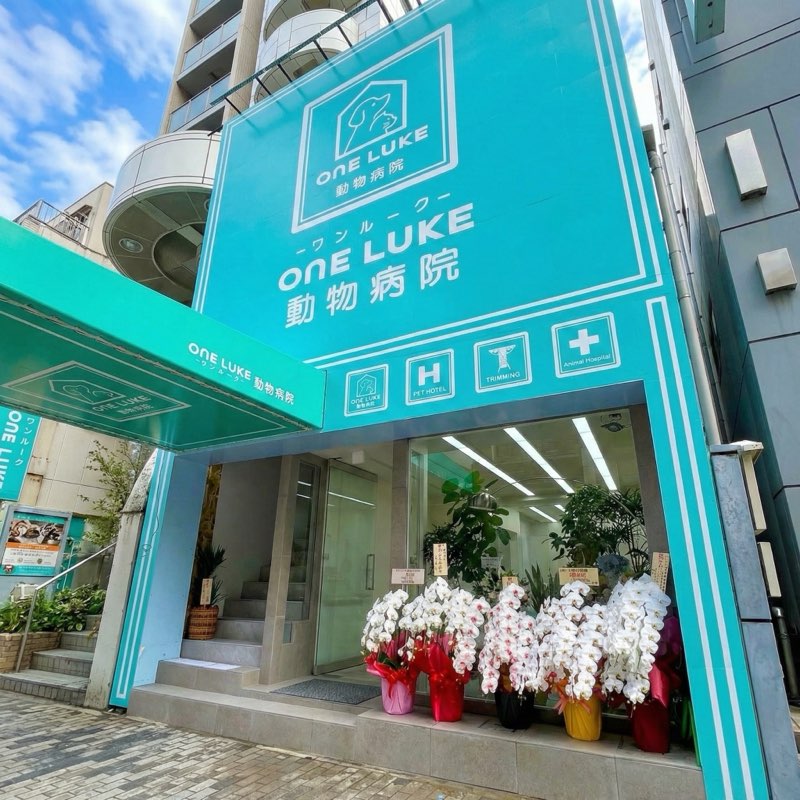 ワンルーク動物病院 外観