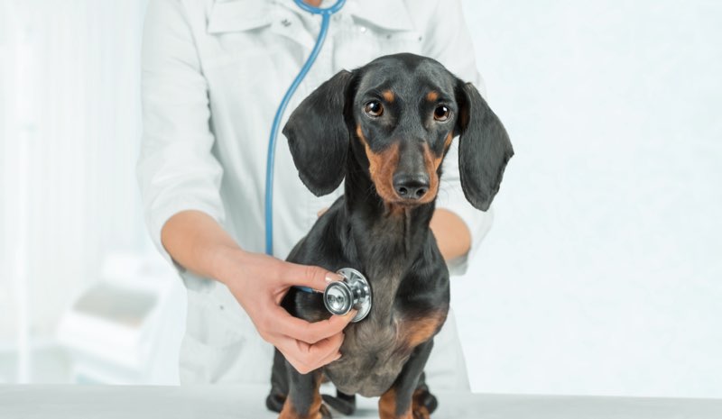 名医100選の院長が統括